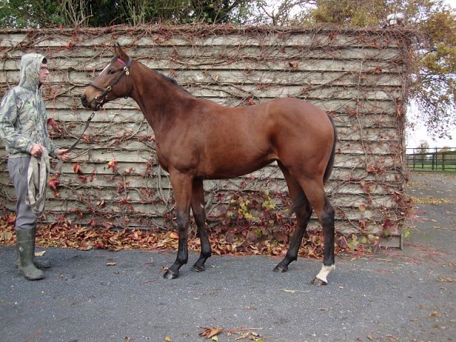 Dress Kode third at Roscommon on 7th July 2020