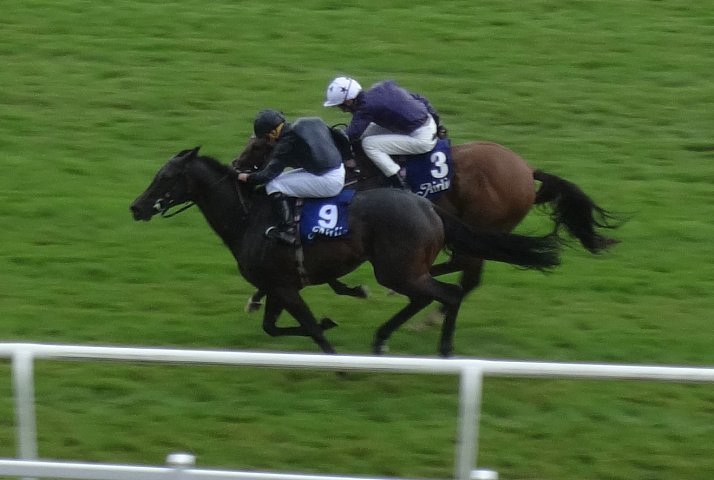 Airlie Stud Stakes 2024