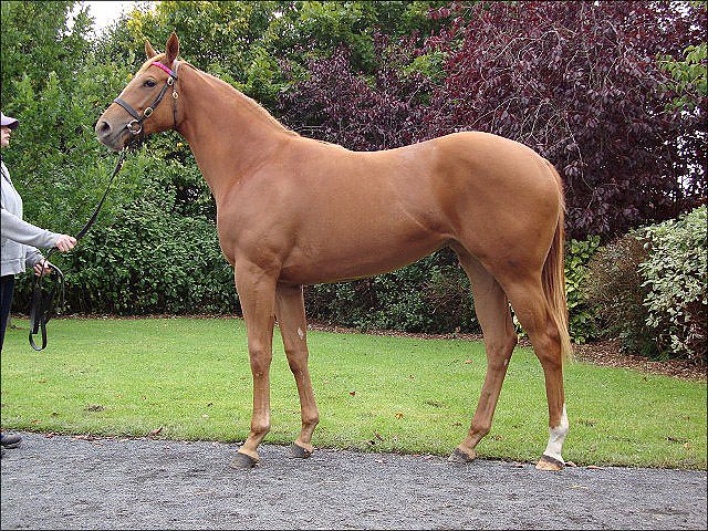 Duntle second in the Prix Rothschild Group 1
