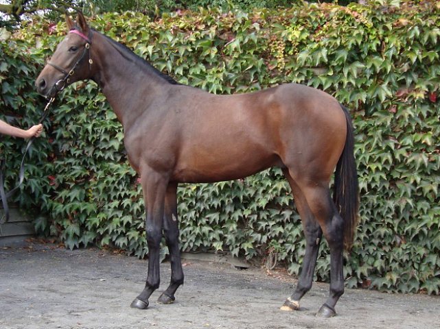 Eagle Court wins at Nottingham on 7th October 2020