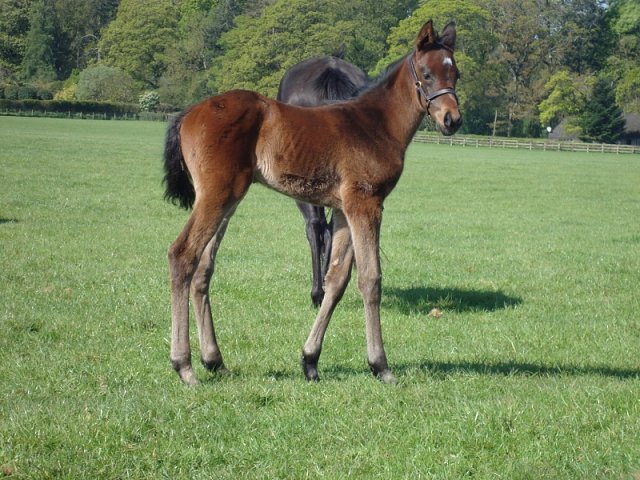 Eagle Court second at Salisbury on 15th July 2023