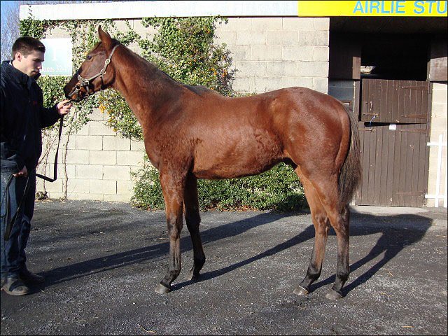 Eastern Impact wins at Ascot