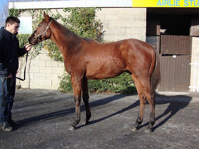Eastern Impact second at Newmarket on 9th June 2018