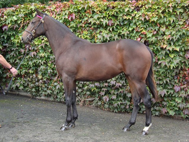 Empress of Hope third at Southwell on 21st November 2024