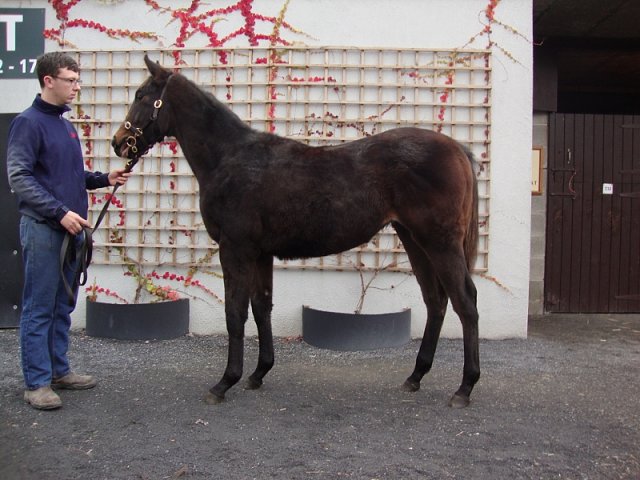 Espouse wins at Naas on 16th May 2021
