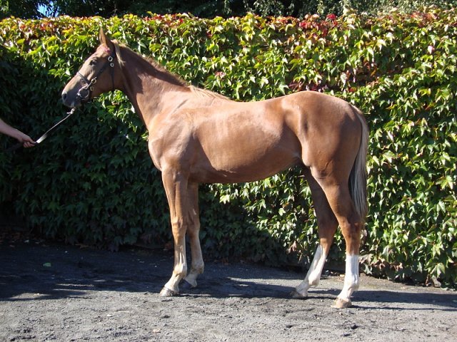 Exec Chef third at Sandown on 13th June 2020