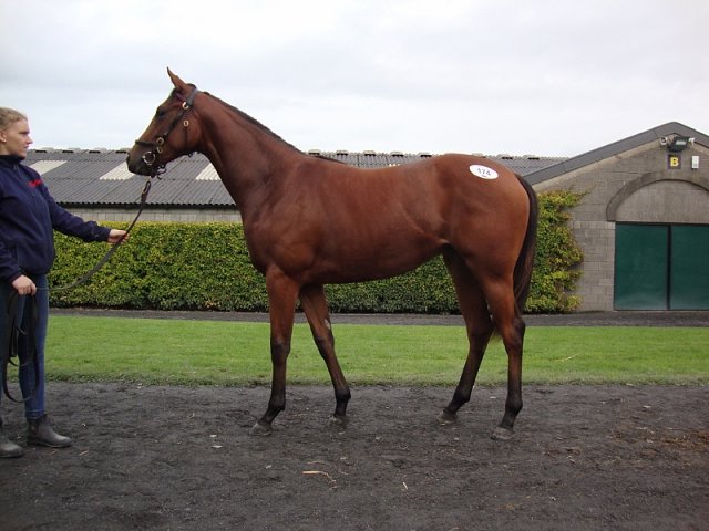 Flame of Freedom wins at Epsom on 30th August 2021