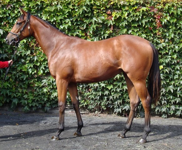 Flame of Freedom third at Windsor on 27th June 2021