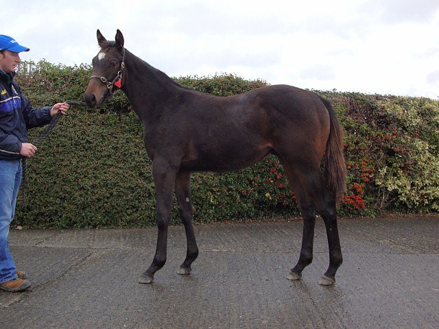 Fraserburgh wins at Jebel Ali on 30th October 2020