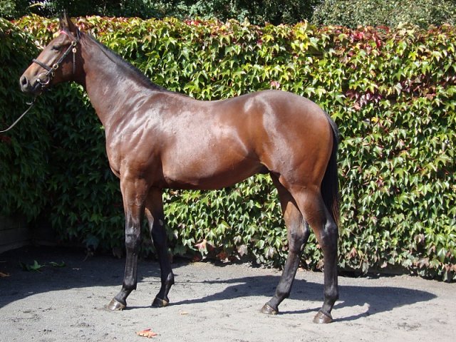 Global Hope wins at Yarmouth on 15th September 2020