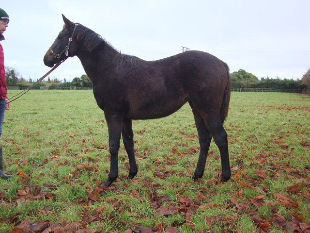 Haumea second at Chelmsford on 14th October 2023