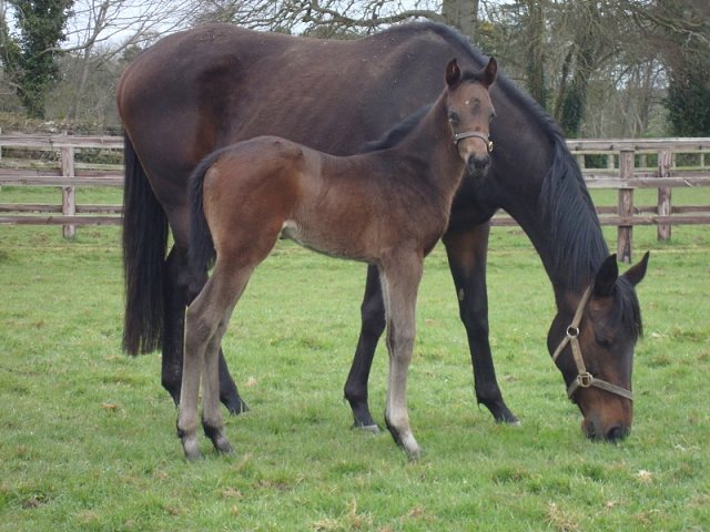 Haumea second at Chelmsford on 14th October 2023