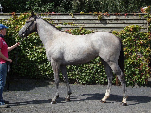 Hedge End second at Sandown