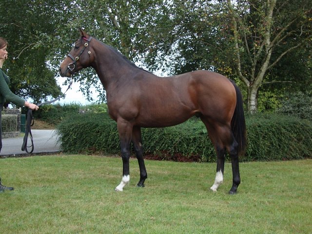 Heroism wins on racecourse debut at Salisbury on 19th August 2022