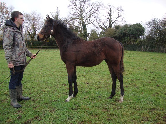 Human Evolution wins at Chantilly on Monday 23rd March 2026