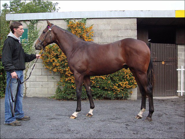 Hyperlink wins at Goodwood