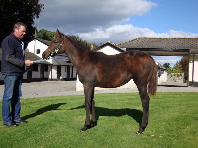 Indrahar second at Dundalk