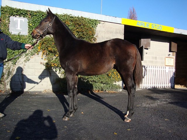 In The Red wins at Kempton on 21st June 2020
