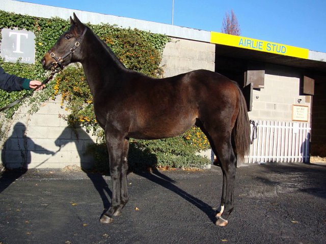 In The Red wins at Salisbury