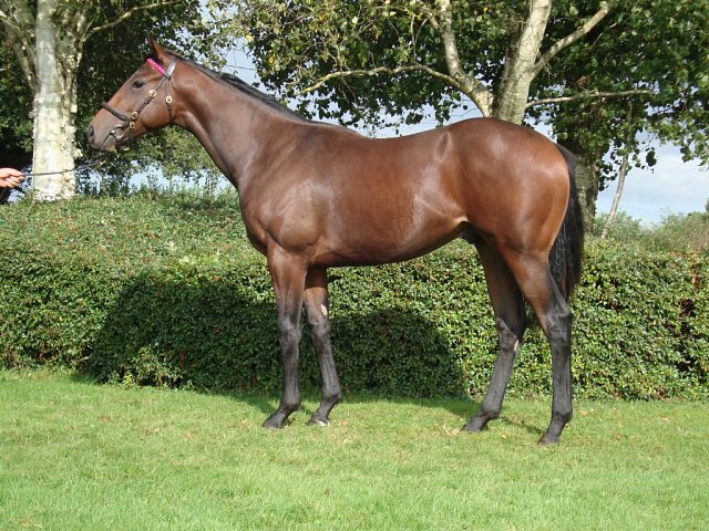 Invictus Gold third at Newmarket on 15th April 2026