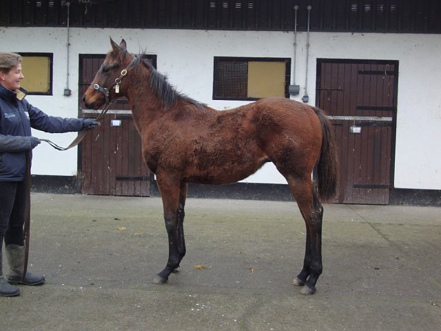 Invictus Gold third at Newmarket on 15th April 2026