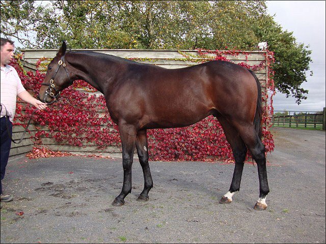 Jalaa finishes third at Newbury
