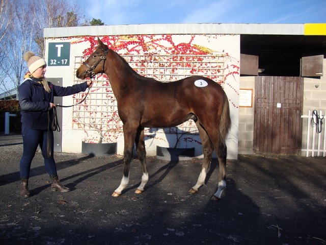 Just Percy third at Chelmsford on 14th August 2022