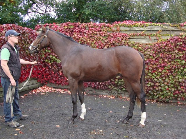 King Jerry second at Chepstow