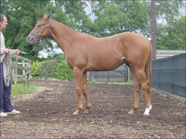 King's Song second at Windsor