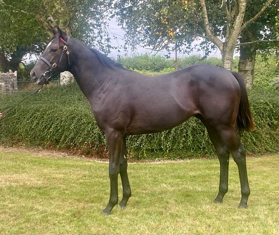 Kitaro Kich second at Kempton on 21st April 2025