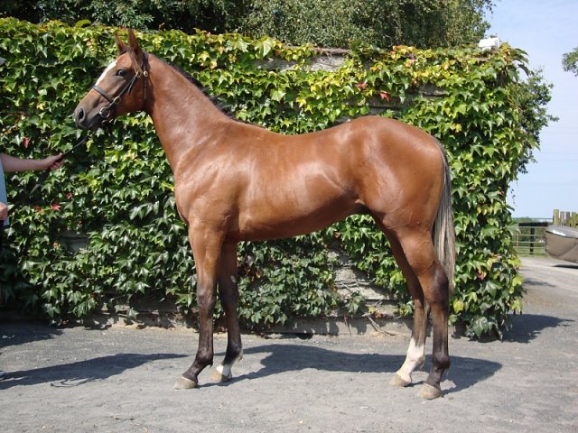Kupa River second at Carlisle