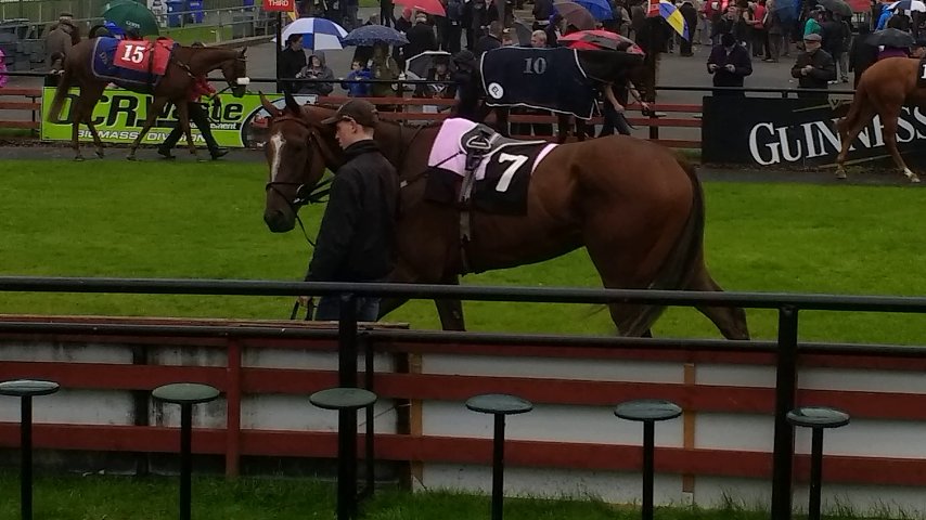 Kupa River wins at Listowel