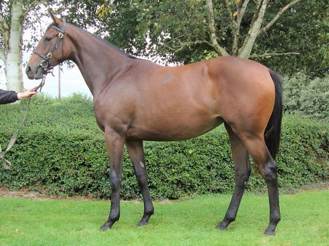 Lady Iwona wins the Polish Oaks on 31st July 2022