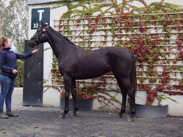Lady Joanna wins at Warsaw, Poland on 15th May 2022