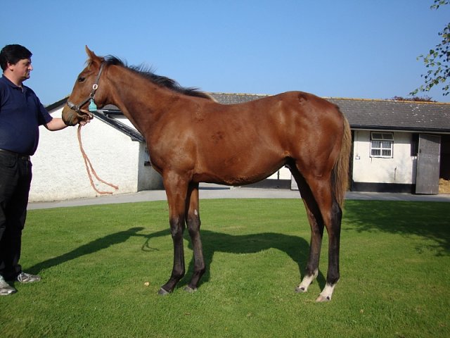 Lansky third in Group 3 at Meydan on 24th January 2019