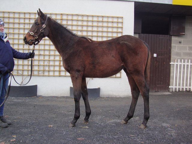 La Piaciona wins in Rome on 24th September 2019