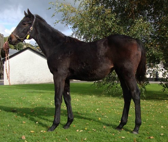 Lavender's Blue wins Group 2 at Goodwood on 28th August 2021
