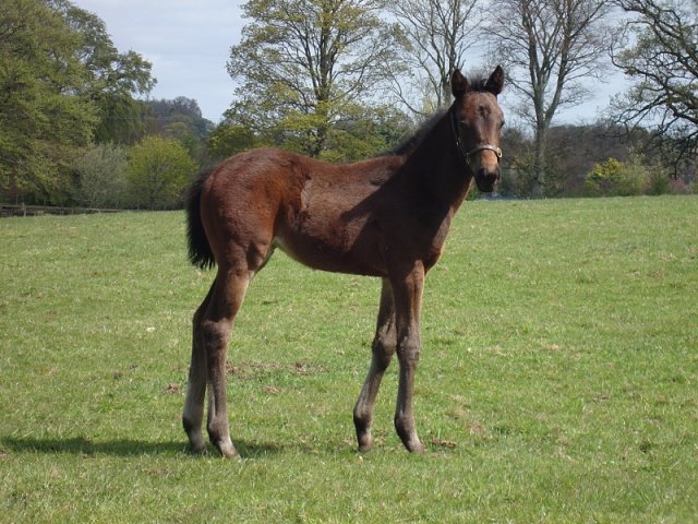 Lavender's Blue wins Group 2 at Goodwood on 28th August 2021