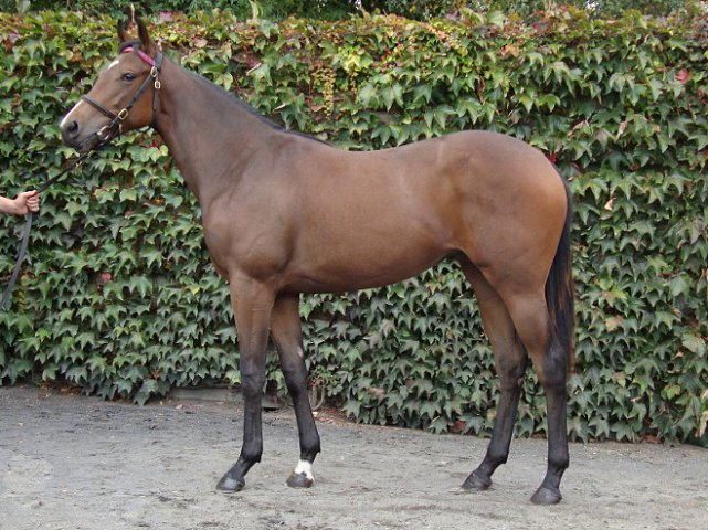Light Blush wins at Toulouse on 14th September 2020