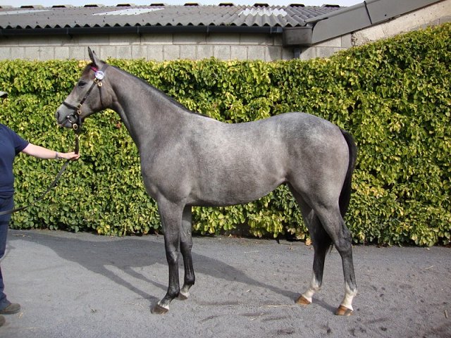 Linard second at Rome, Italy