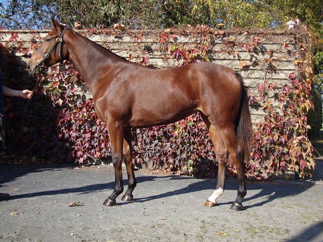 Lismore wins at Bath on 6th August 2020