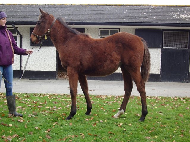 Lismore third in Group 2 at Doncaster on 11th September 2022