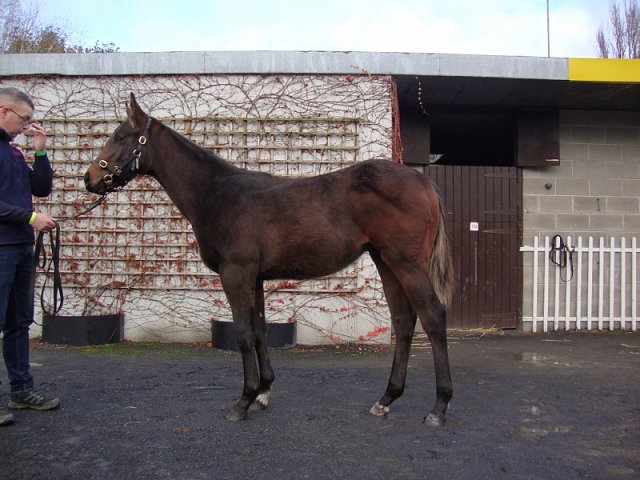 Louis Barthas third at Sale, Victoria on 30th March 2025