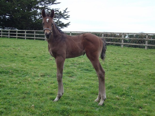 Louis Barthas third at Sale, Victoria on 30th March 2025