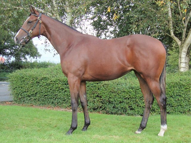 Lovely Mana third at Newmarket on 8th July 2021
