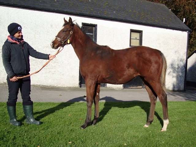 Lovely Mana third at Newmarket on 8th July 2021