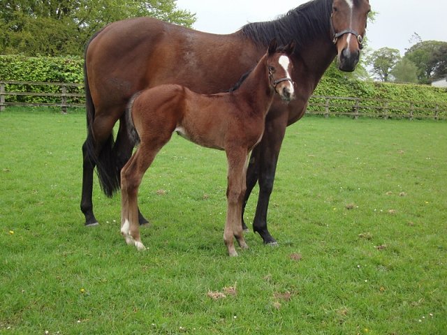 Lovely Mana third at Newmarket on 8th July 2021