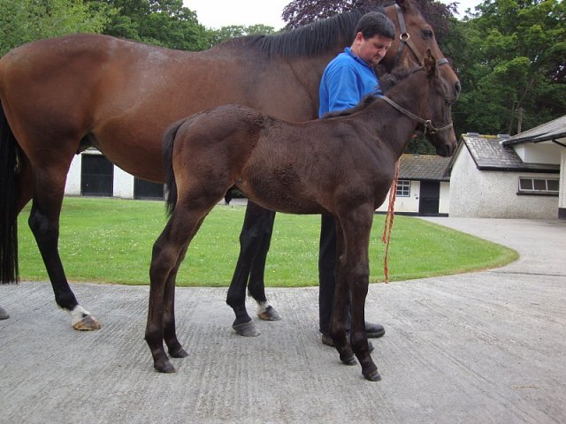 Lunch wins on racecourse debut