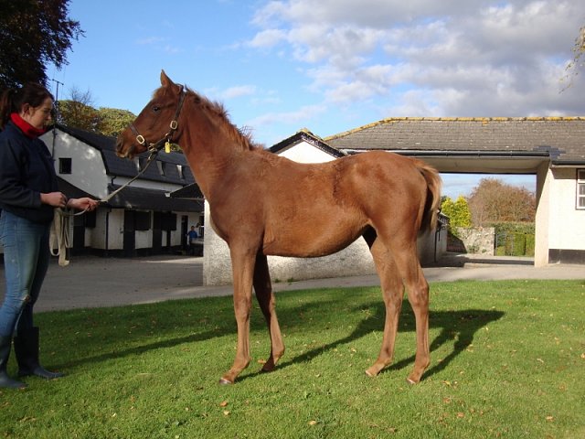 Magna Mater wins at Clairefontaine on 28th July 2020
