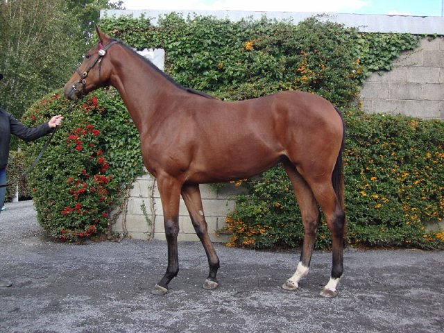 Magnolia Springs wins Listed Race on 24th May 2018
